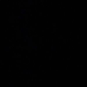 Meet your Posher, Taron